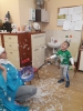 zwierzęta _2