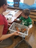 zwierzęta _4