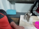 ceramika 2_21